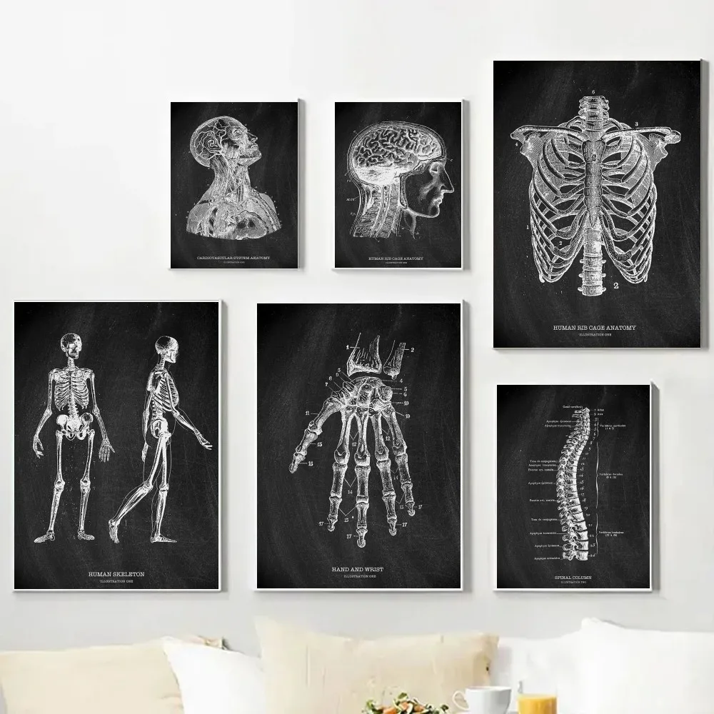 Badminton Poster - Anatomy Skeleton Blackboard Medical Poster Canvas