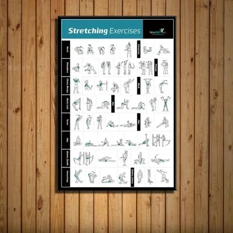 Body Exercise Training Chart G - Badminton Poster review and price