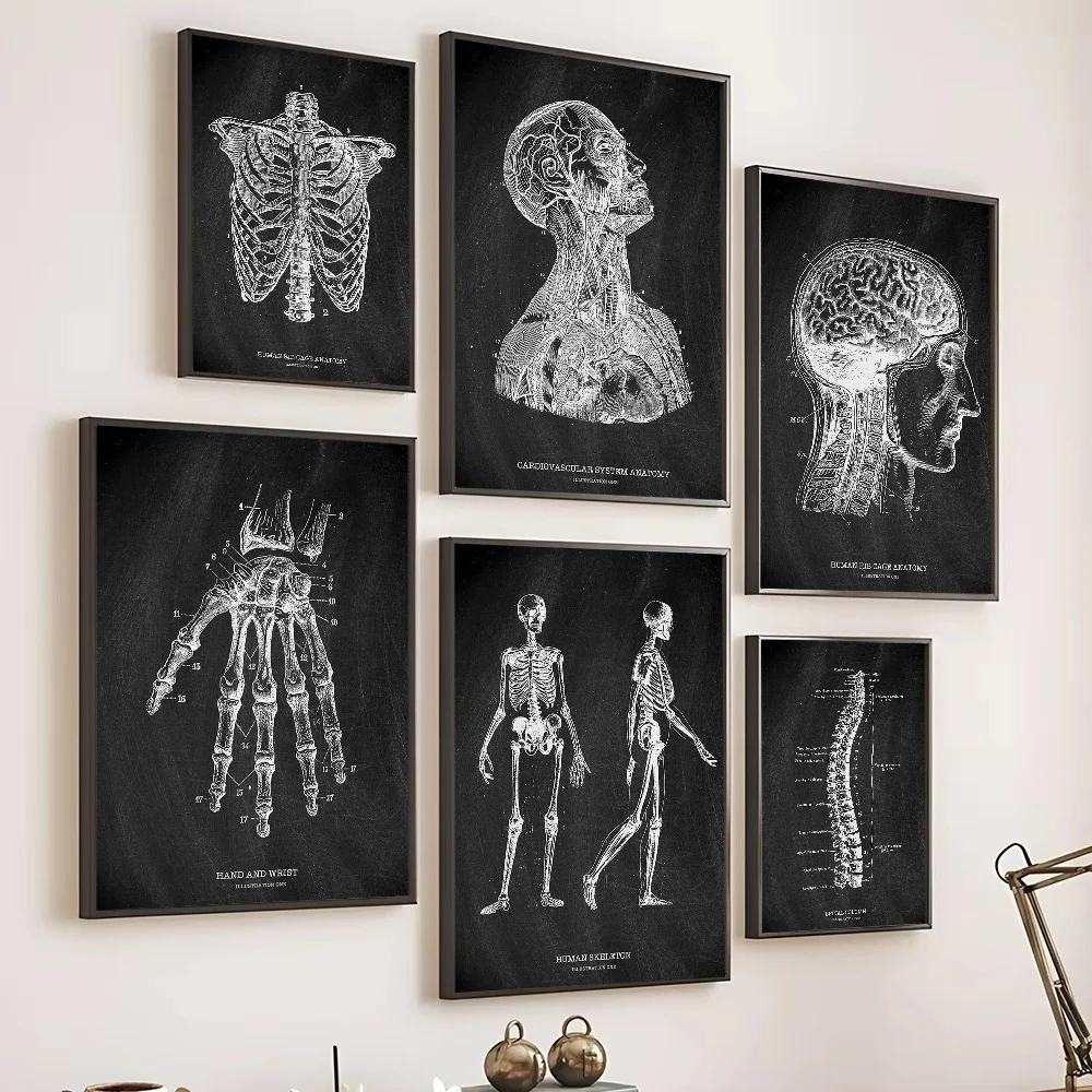 Anatomy Skeleton Blackboard Me - Badminton Poster review and price