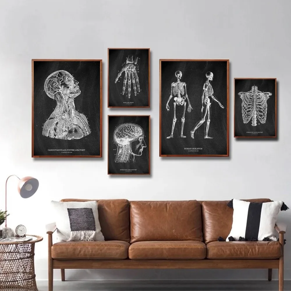 Anatomy Skeleton Blackboard Me - Badminton Poster review and price