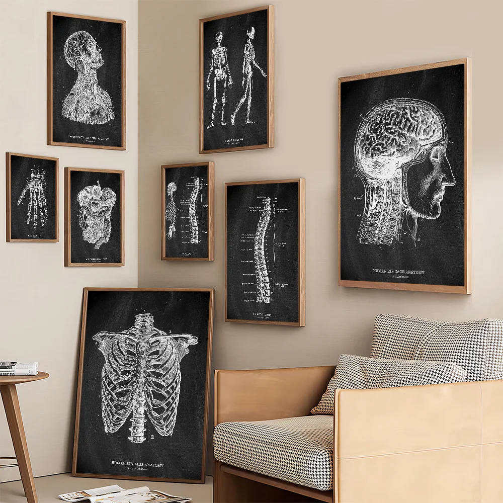 Anatomy Skeleton Blackboard Me - Badminton Poster review and price